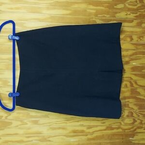 VintageBlue skirt